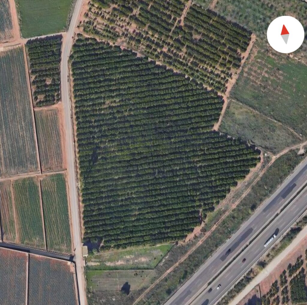 Screenshot_20251108_144007_Maps